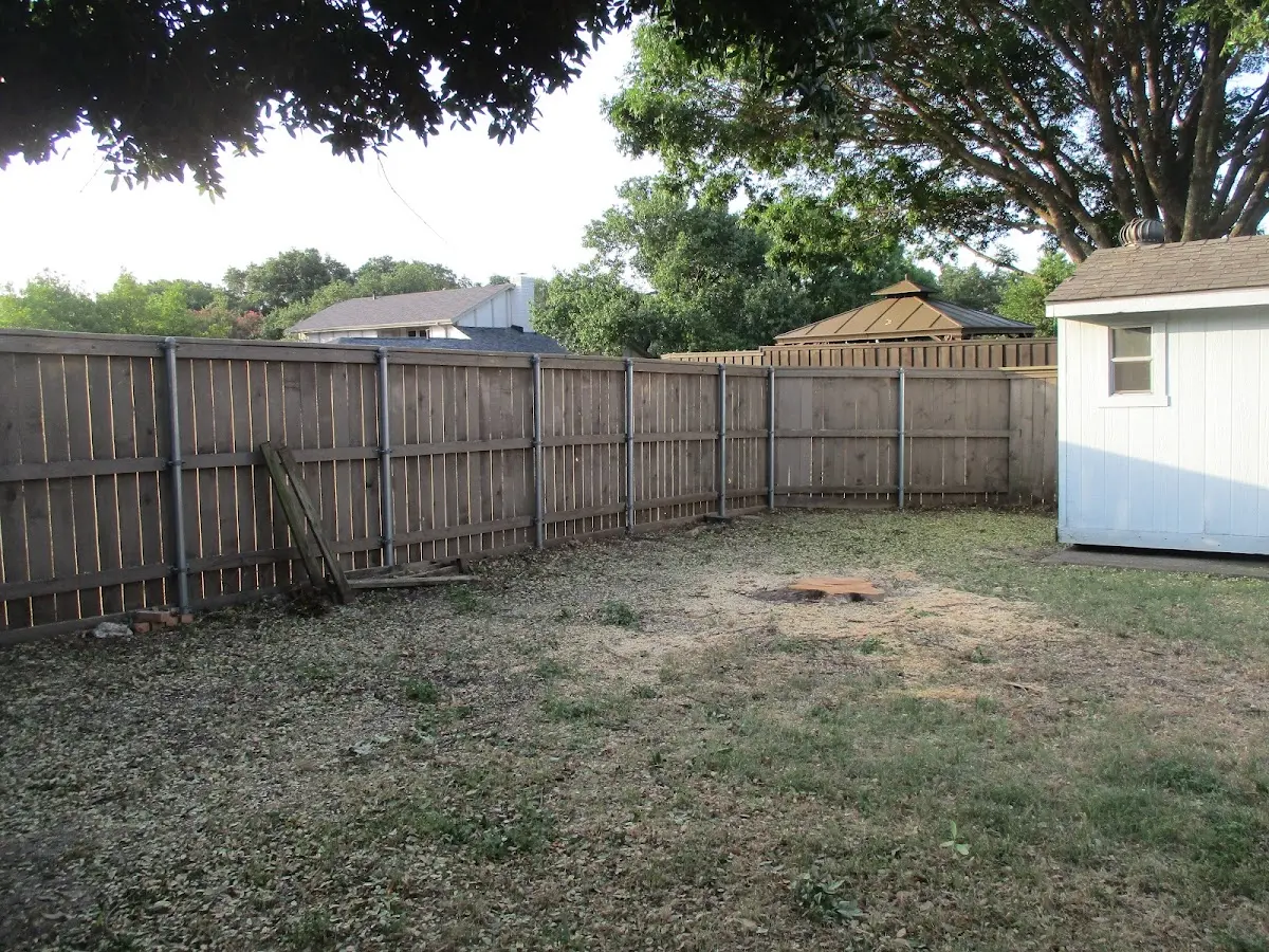 Cleared yard after professional tree removal in East Hampstead